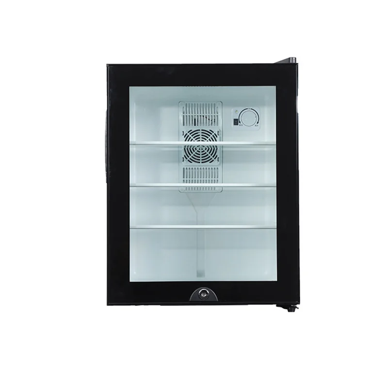 Mini Fridge Cooler 40L Refrige - Wine Beer Fridge Small incelemesi ve fiyatı